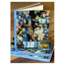 Load image into Gallery viewer, 12