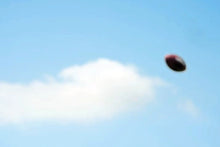 Load image into Gallery viewer, 12