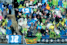 Load image into Gallery viewer, 12