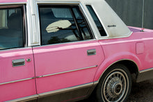 Load image into Gallery viewer, hoop the american dream