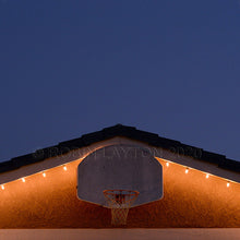Load image into Gallery viewer, diana taurasi's childhood hoop