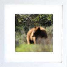 Load image into Gallery viewer, grizzly
