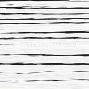 lake lines #2 black and white