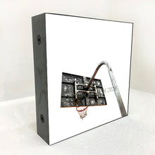 Load image into Gallery viewer, lebron james' childhood hoop