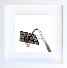 Load image into Gallery viewer, lebron james' childhood hoop