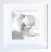 Load image into Gallery viewer, orchid #1 black and white
