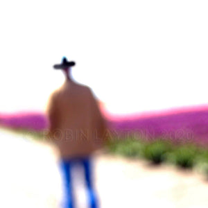 brokeback tulips