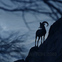 Load image into Gallery viewer, big horn blue
