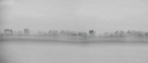 Misty Morning