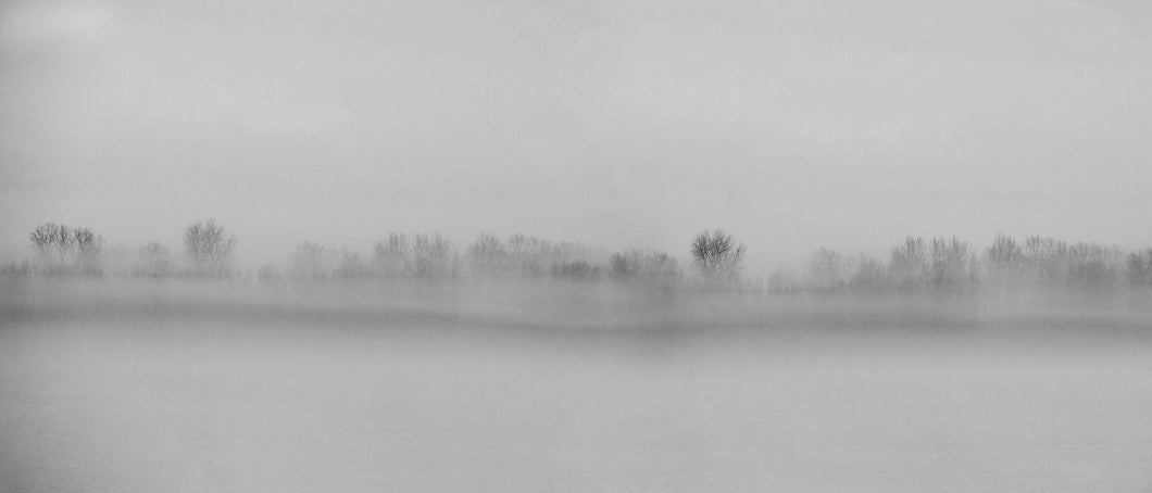 Misty Morning