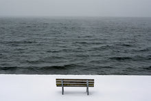 Load image into Gallery viewer, the lake
