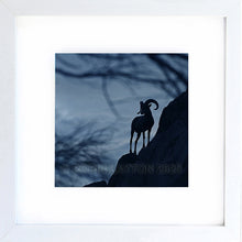 Load image into Gallery viewer, big horn blue
