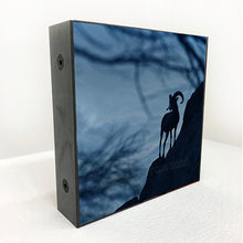 Load image into Gallery viewer, big horn blue
