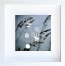 Load image into Gallery viewer, circles and grass
