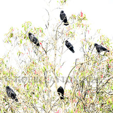 Load image into Gallery viewer, crow tree
