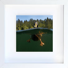 Load image into Gallery viewer, daffy
