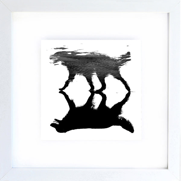 dog blot