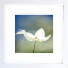 Load image into Gallery viewer, springtime
