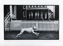 Load image into Gallery viewer, Greeting cards - set of 10 different blank cards.
