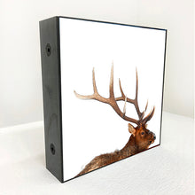 Load image into Gallery viewer, rack
