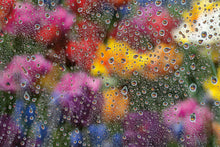 Load image into Gallery viewer, rain
