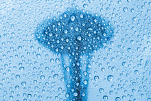 Load image into Gallery viewer, rain
