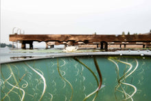 Load image into Gallery viewer, the lake
