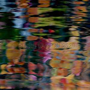 koi pond #2