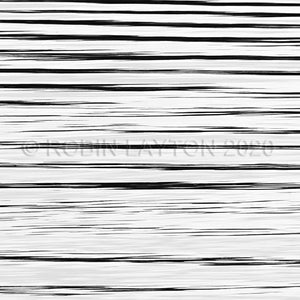 lake lines #1 black and white