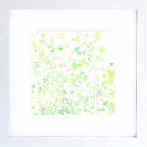 light leaves