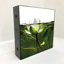 Load image into Gallery viewer, lily
