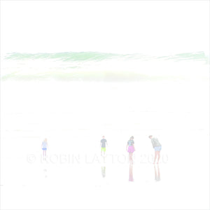 looking for shells