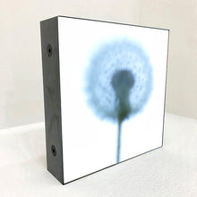 Load image into Gallery viewer, make a wish
