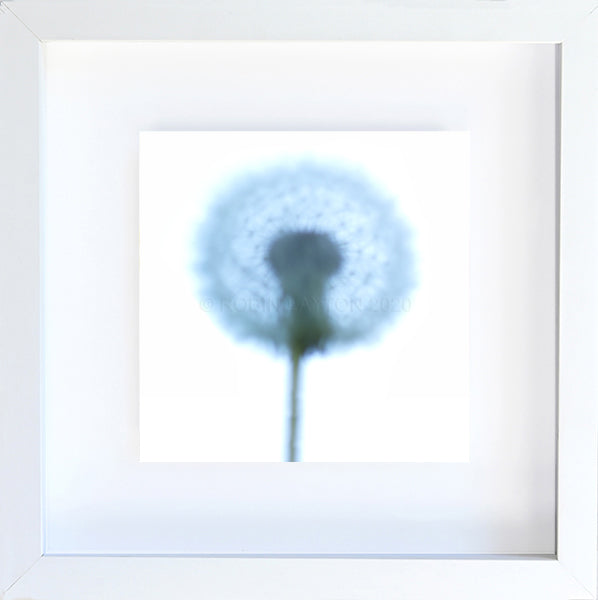 make a wish