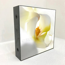 Load image into Gallery viewer, orchid #1
