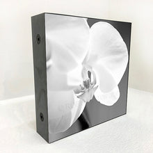 Load image into Gallery viewer, orchid #2 black and white
