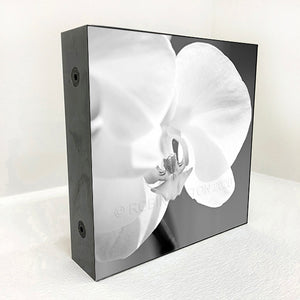 orchid #2 black and white
