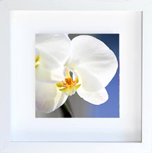 Load image into Gallery viewer, orchid #2
