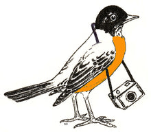Load image into Gallery viewer, Greeting cards - set of 10 different blank cards.
