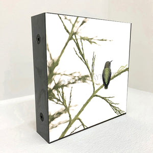 perch