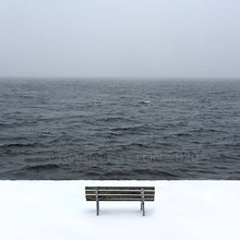 Load image into Gallery viewer, solace in the snow

