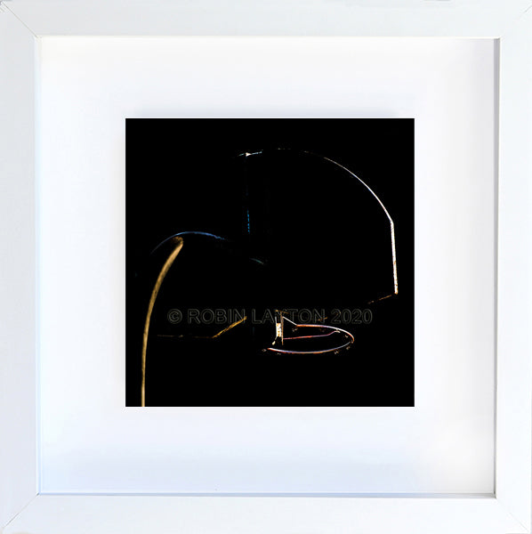sue bird's childhood hoop
