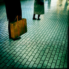 Load image into Gallery viewer, tokyo train #2
