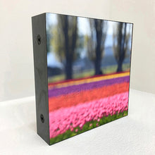 Load image into Gallery viewer, tulips and trees
