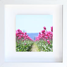 Load image into Gallery viewer, tulip row
