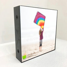 Load image into Gallery viewer, waiting for wind

