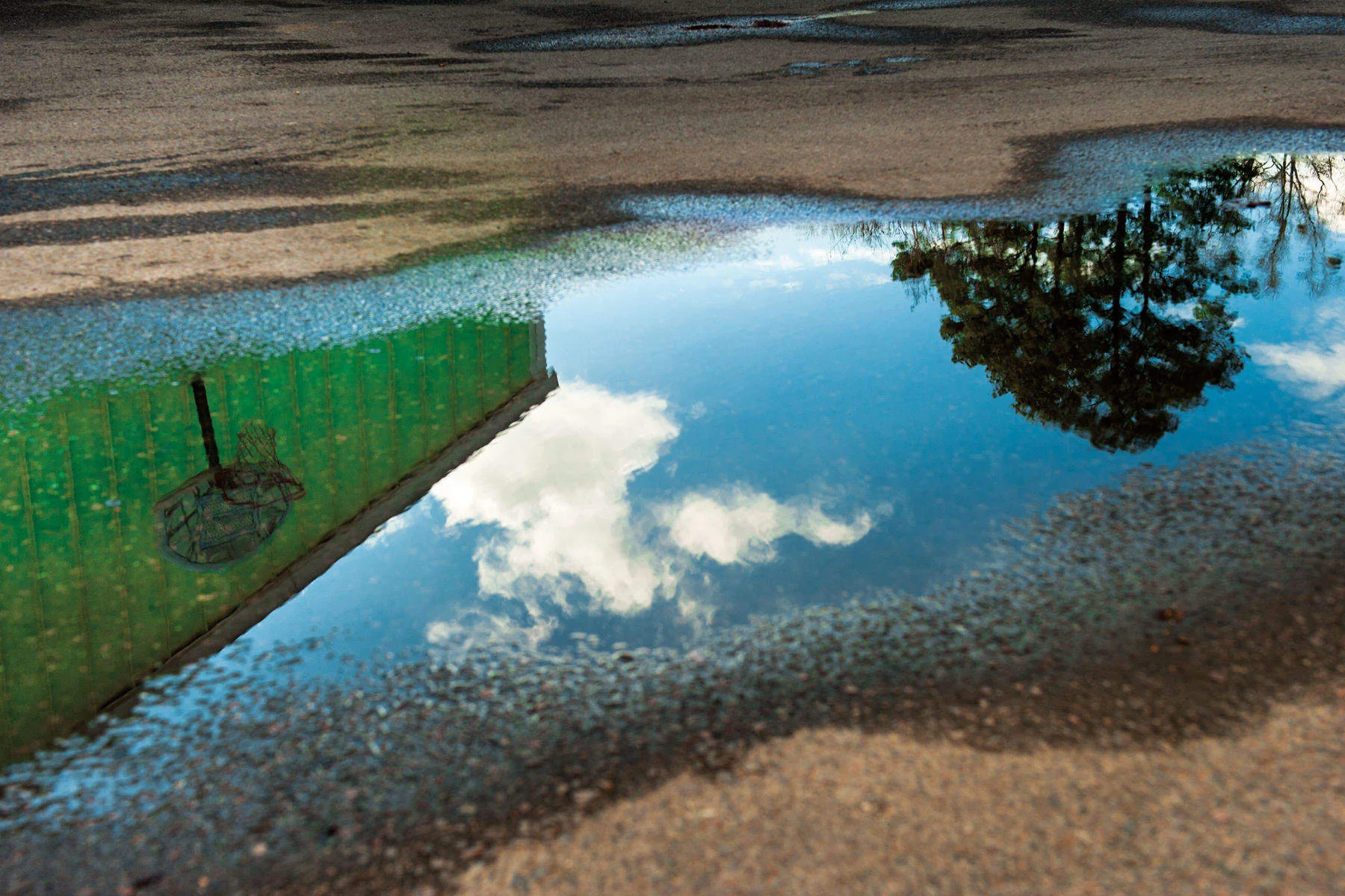 Puddle Dream