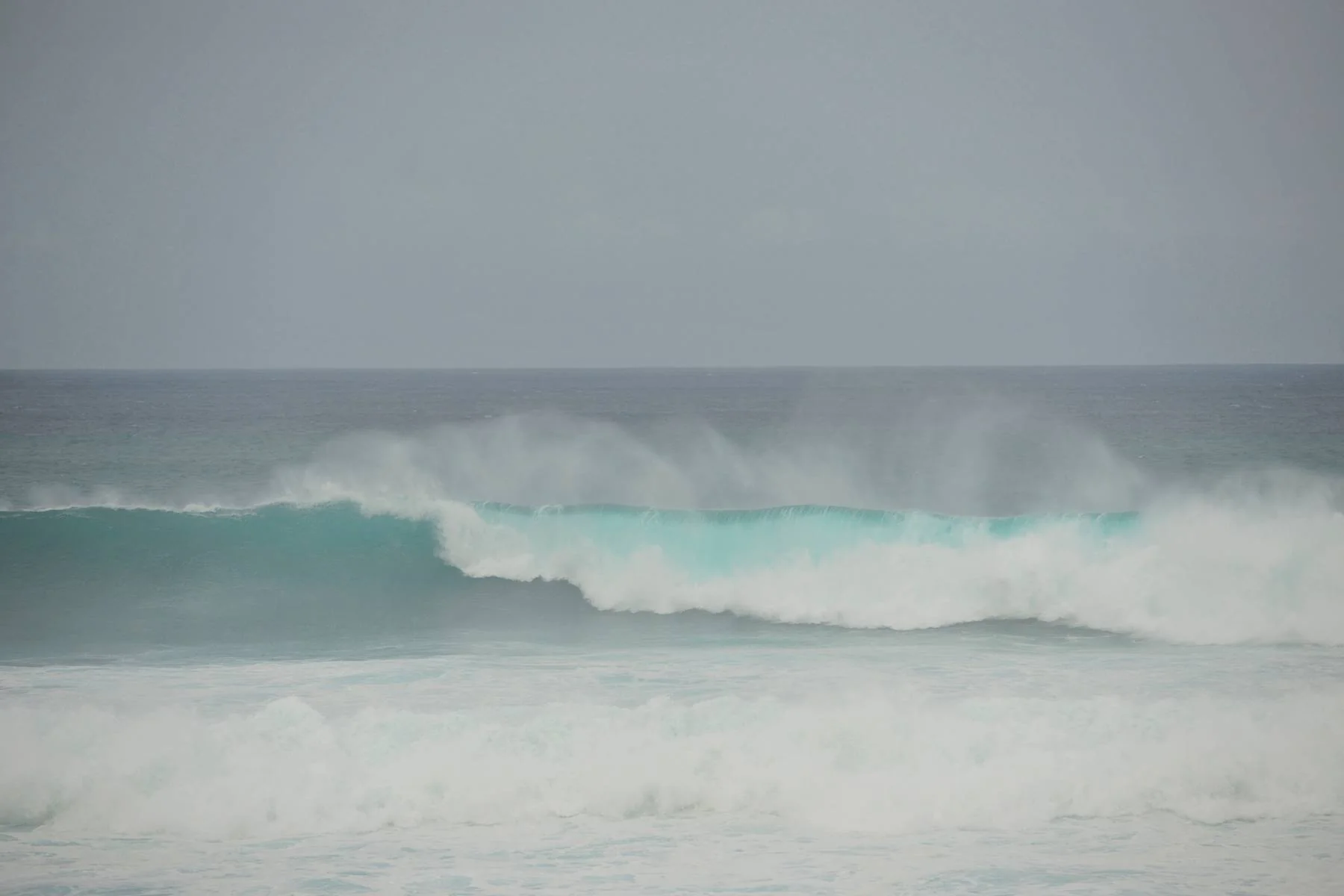 Blue Curl
