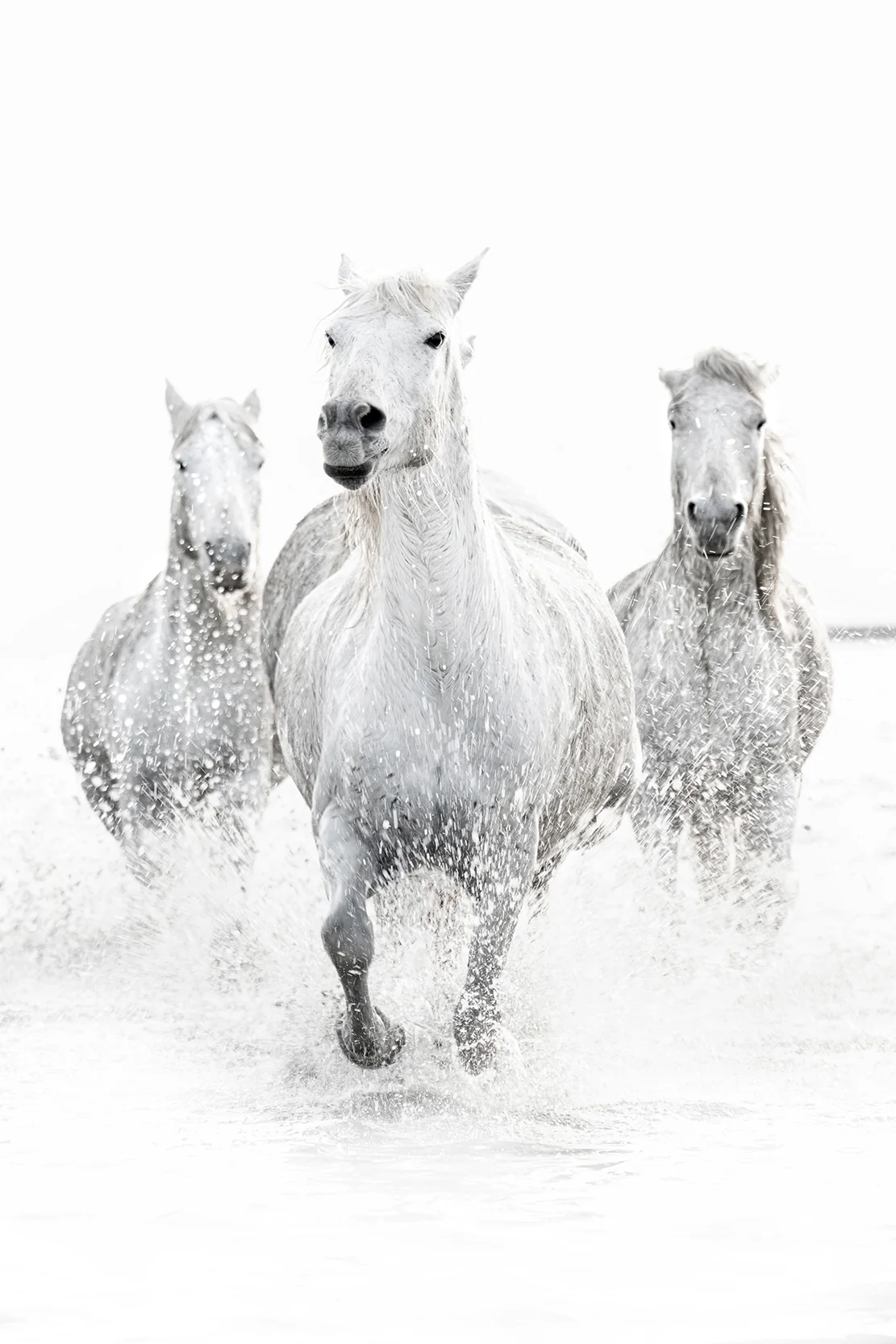 Running Free