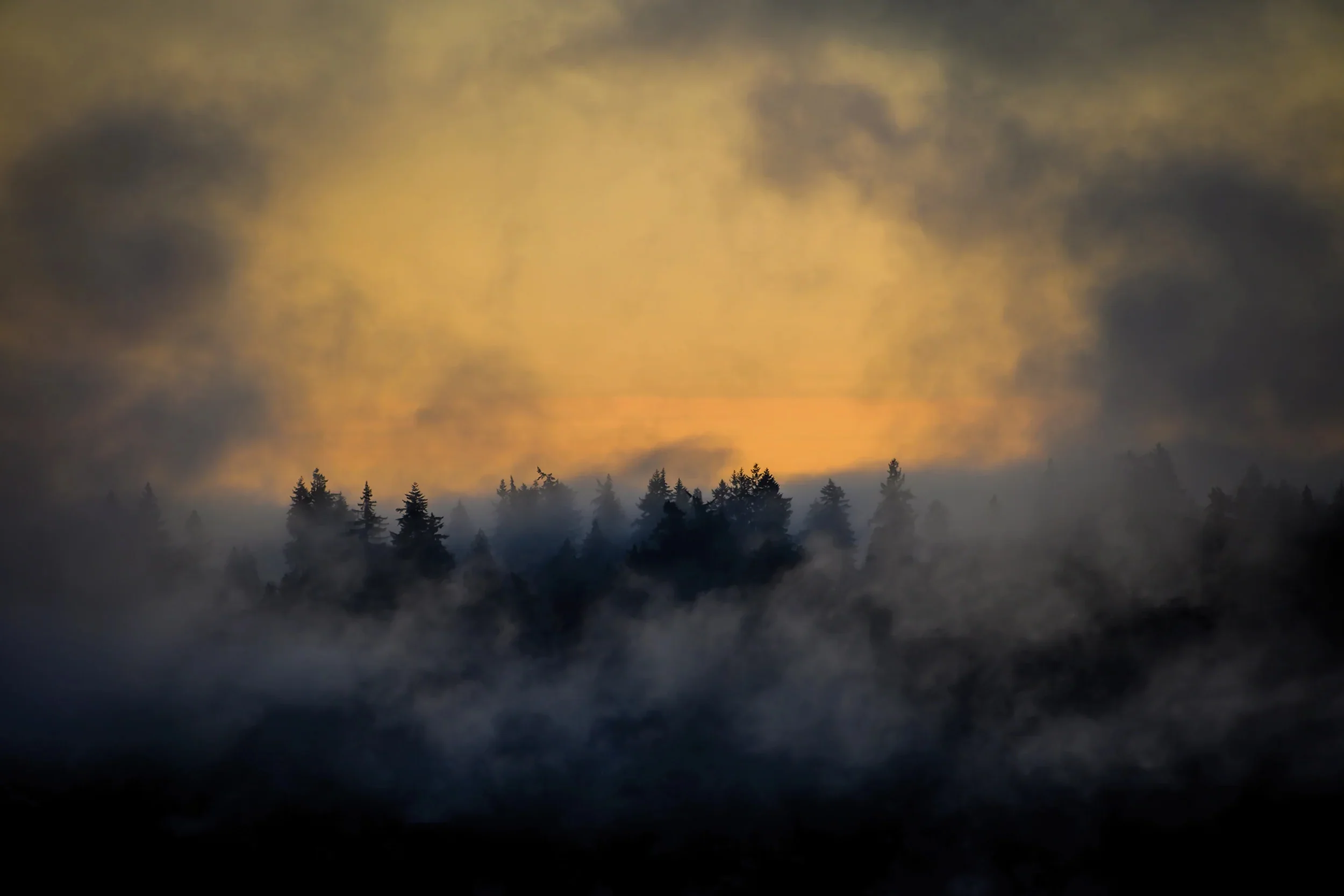 Amber Fog